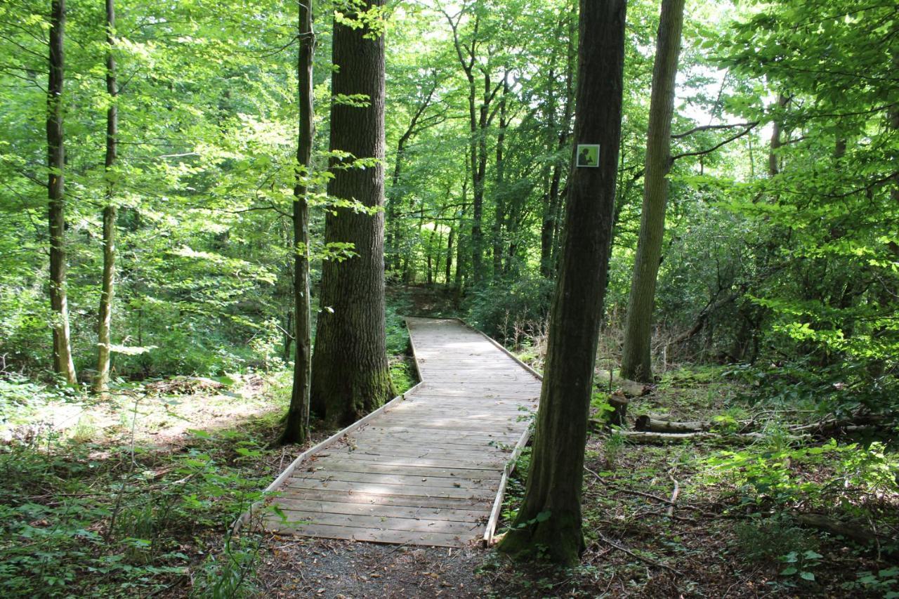 Ferienwohnung Forellenhof Oberschwarzach Buitenkant foto
