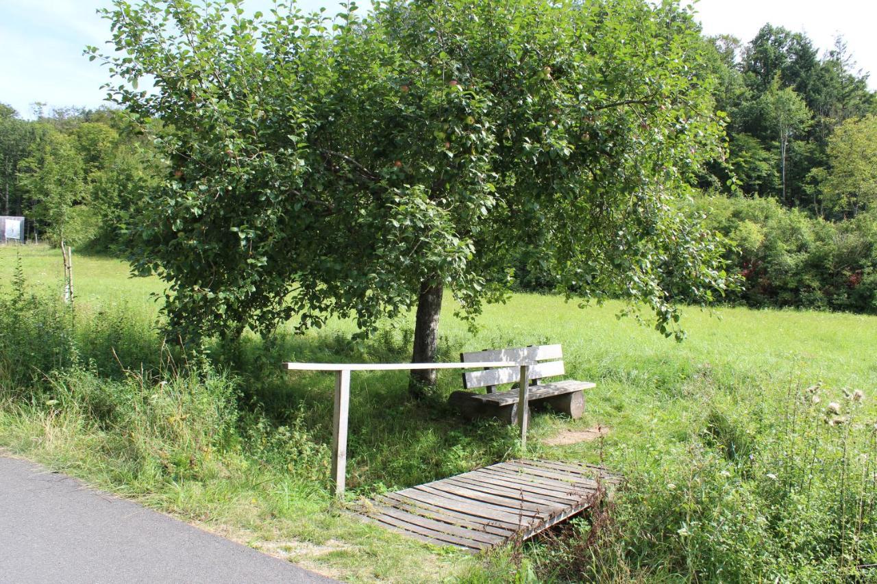 Ferienwohnung Forellenhof Oberschwarzach Buitenkant foto