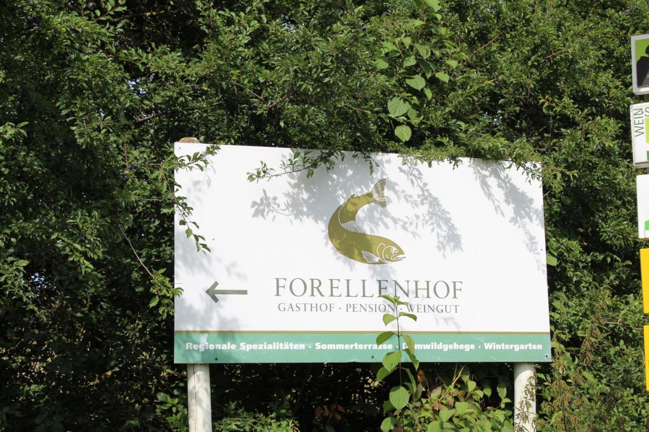 Ferienwohnung Forellenhof Oberschwarzach Buitenkant foto
