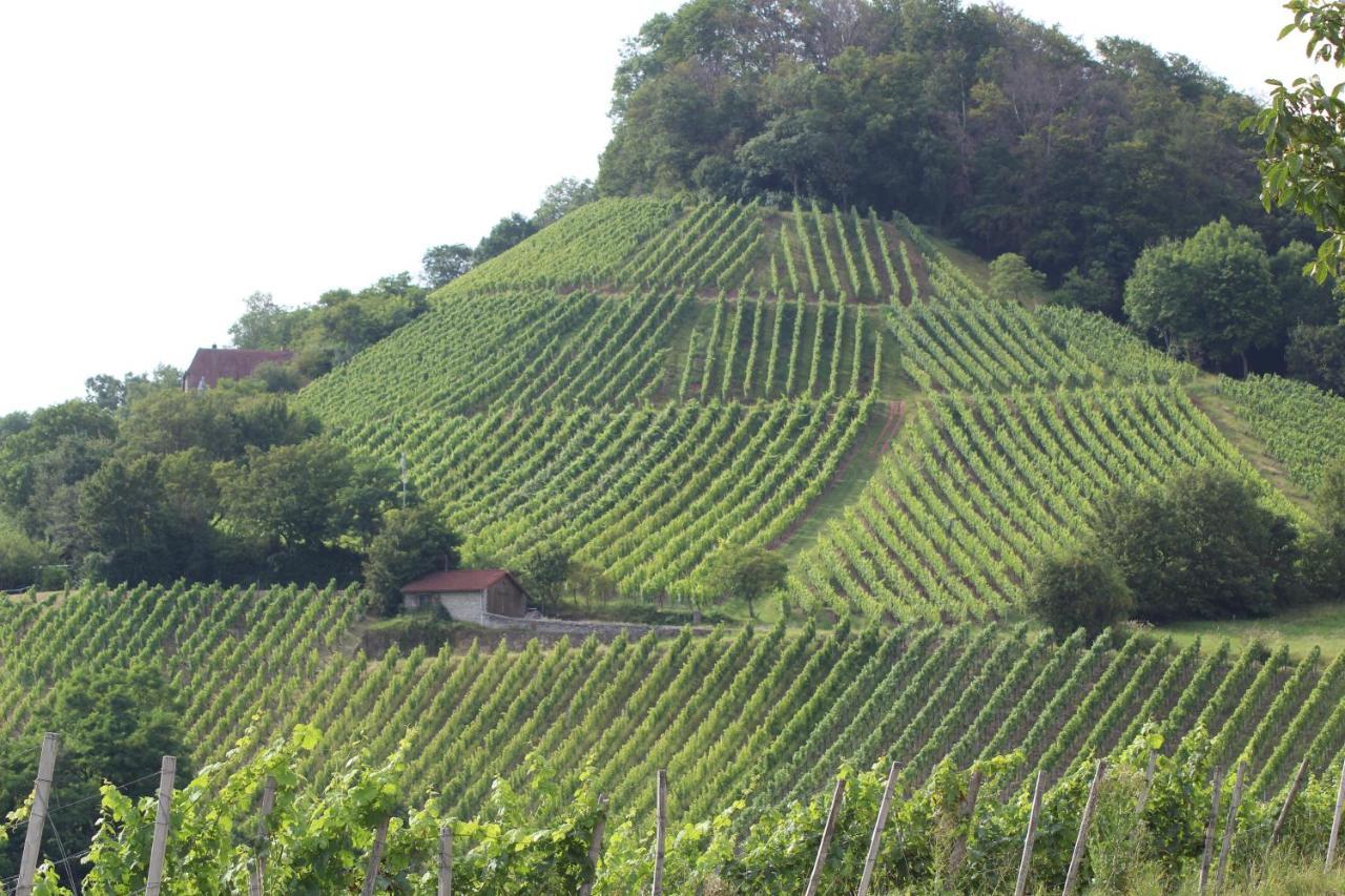 Ferienwohnung Forellenhof Oberschwarzach Buitenkant foto